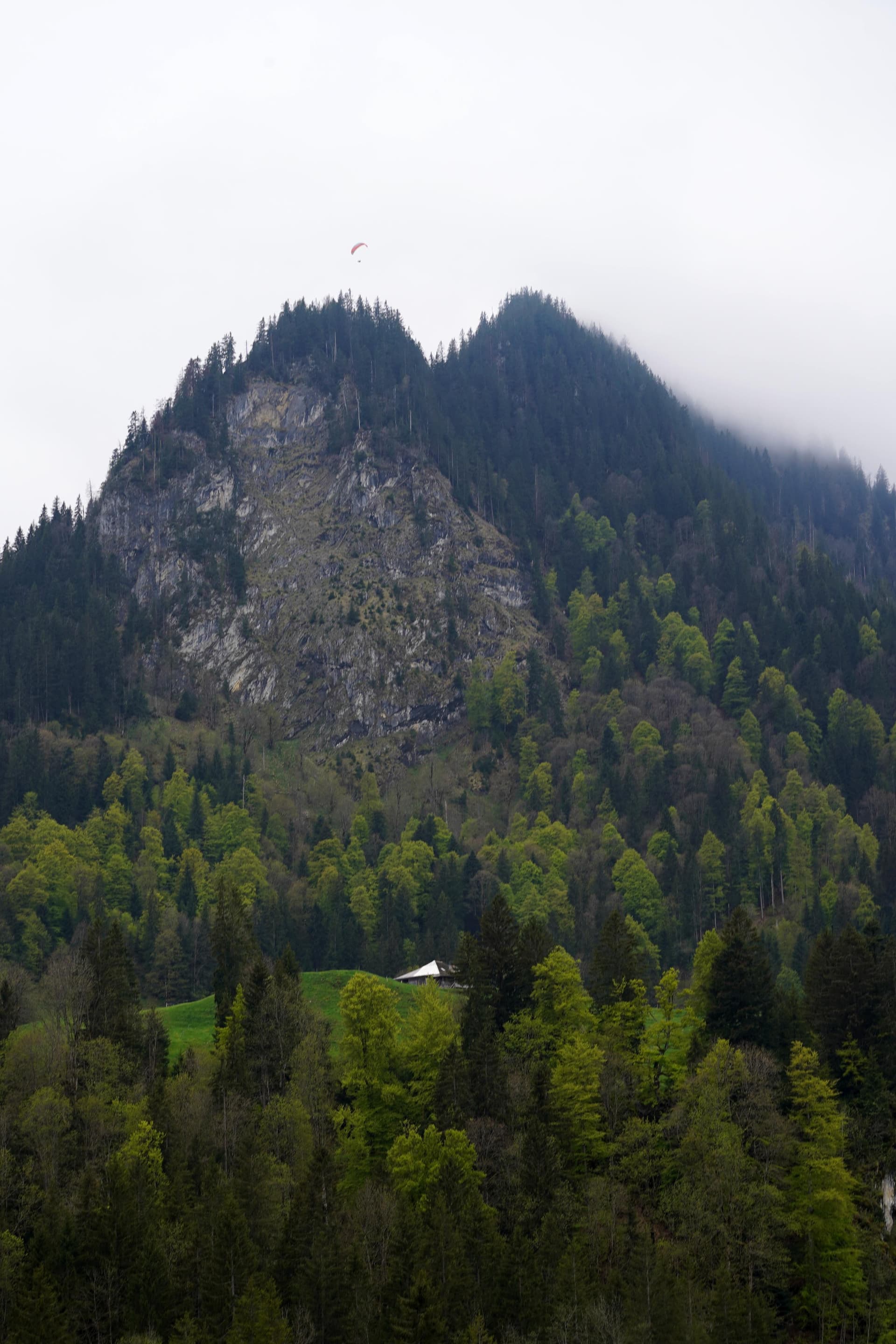 Lac Noir - Switzerland