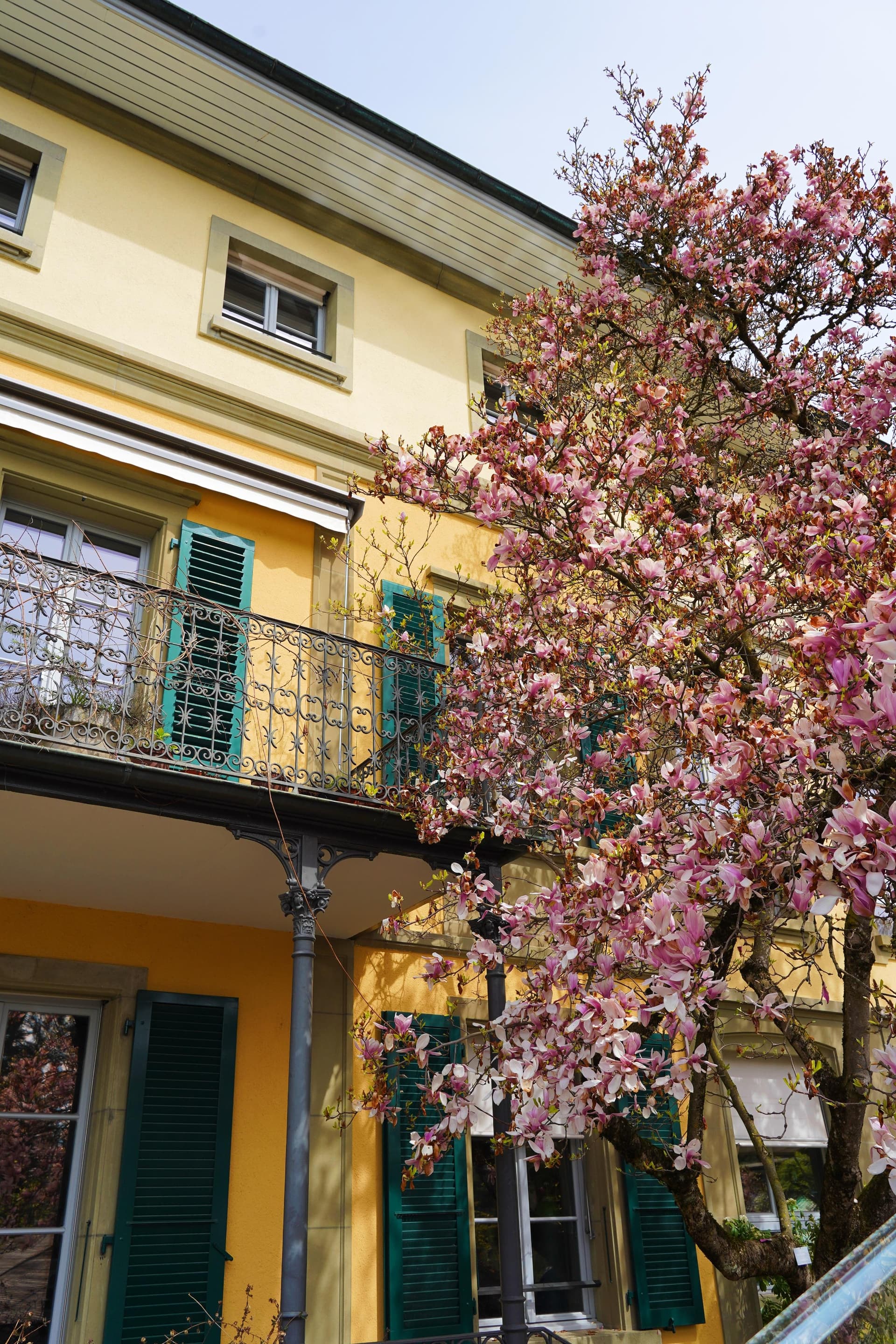 Bern, Flowers Garden - Switzerland