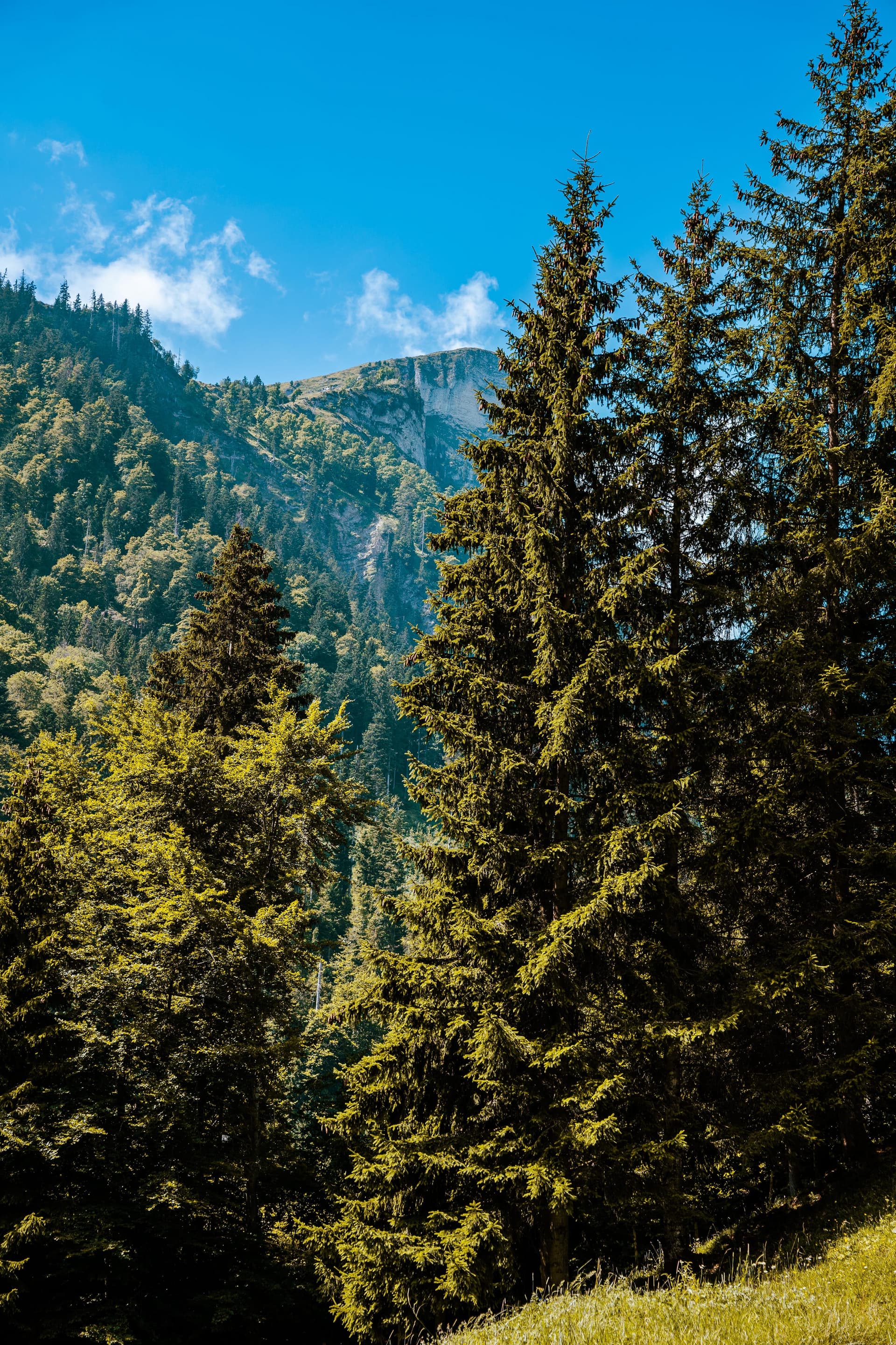 Les Mosses - Switzerland